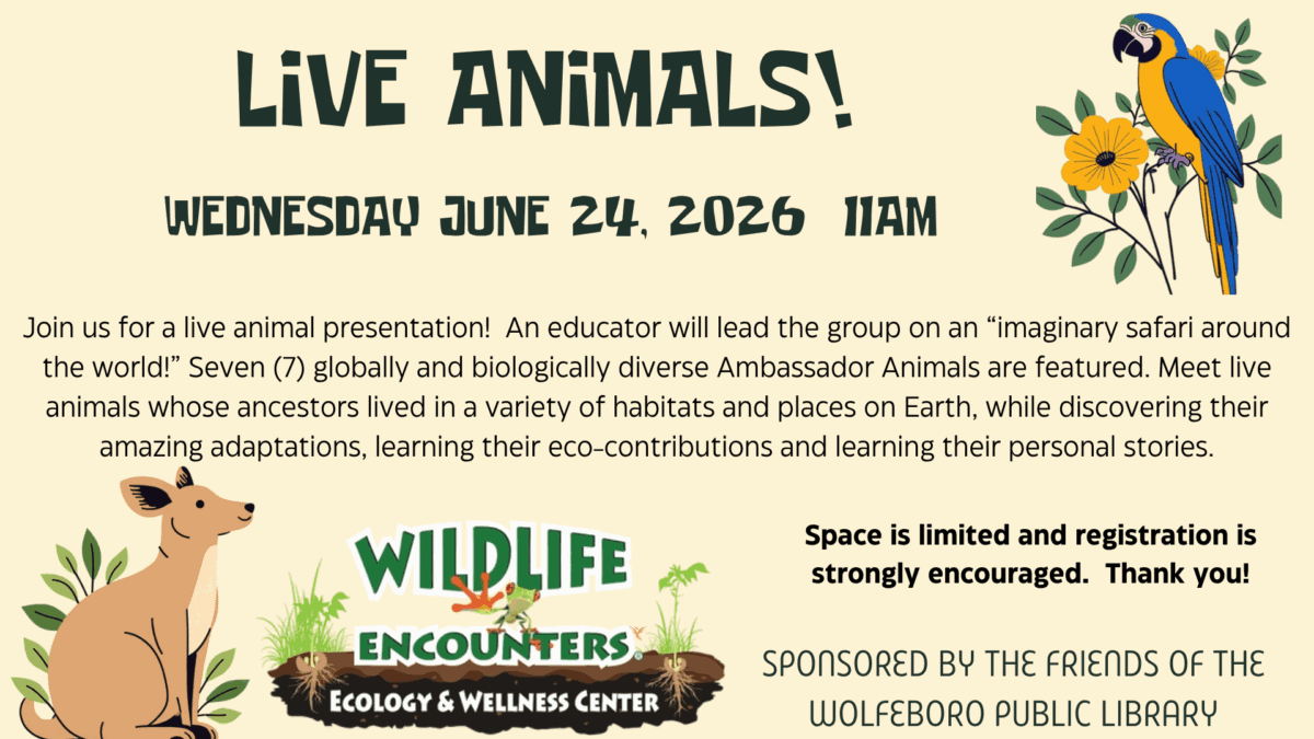 2026.6.24 wildlife encounters