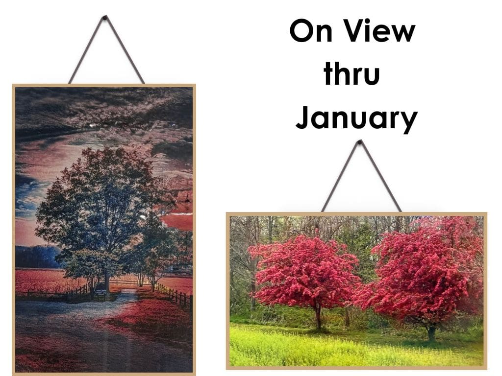 copy of lakes region art association