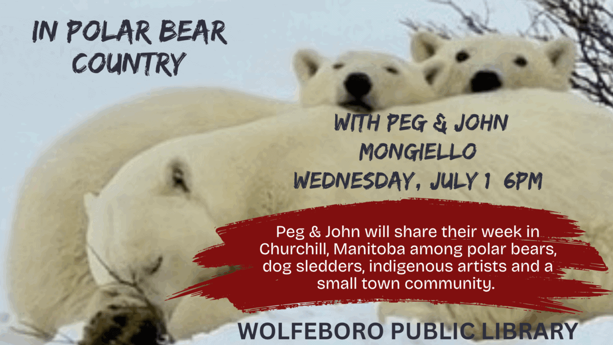 polar bears peg