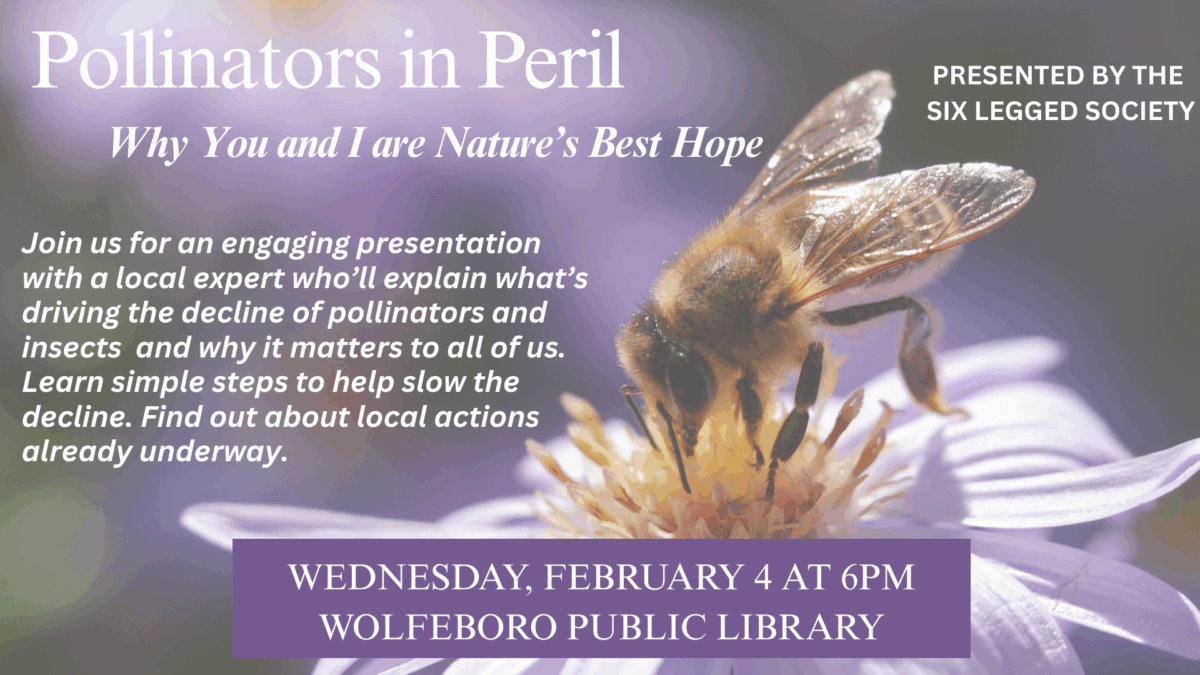 pollinators in peril