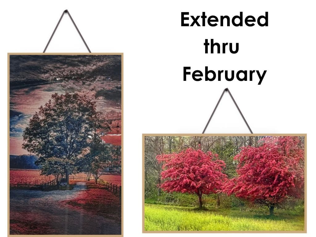 wall art for homepage